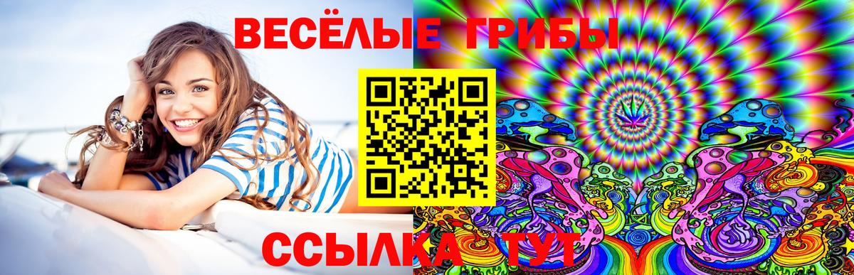 Галлюциногенные грибы мухоморы Курчатов